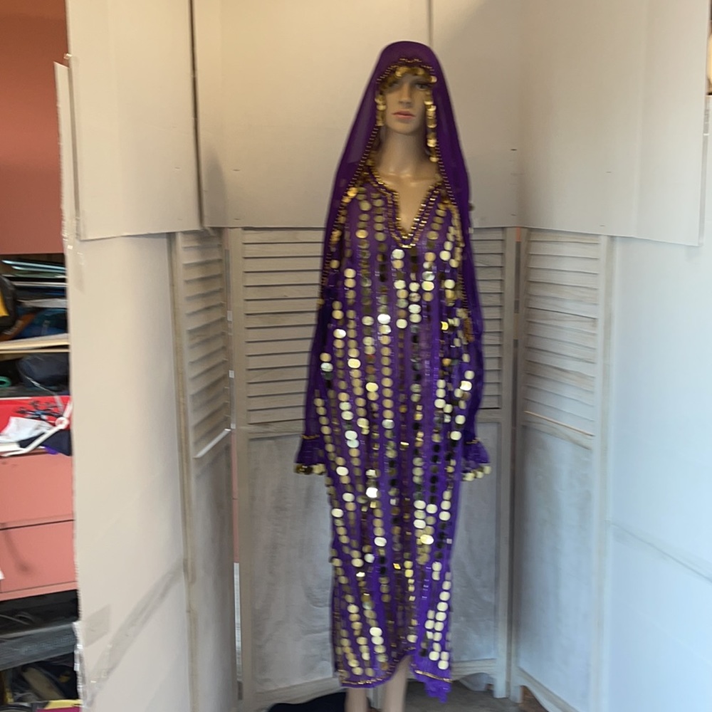 Indian princess, Egyptian belly dancer costume